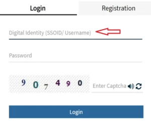 SSO id login